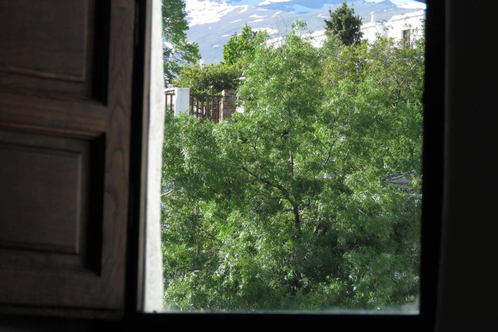 布比翁Casa La Solea. Vistas Al Pueblo Y La Sierra别墅 外观 照片