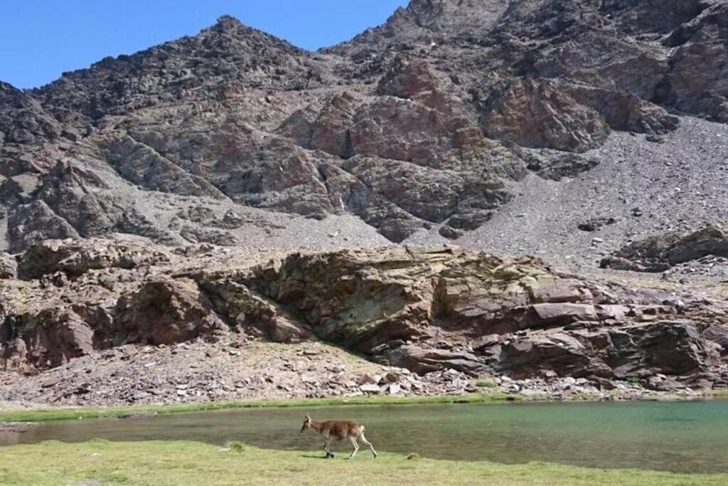 布比翁Casa La Solea. Vistas Al Pueblo Y La Sierra别墅 外观 照片